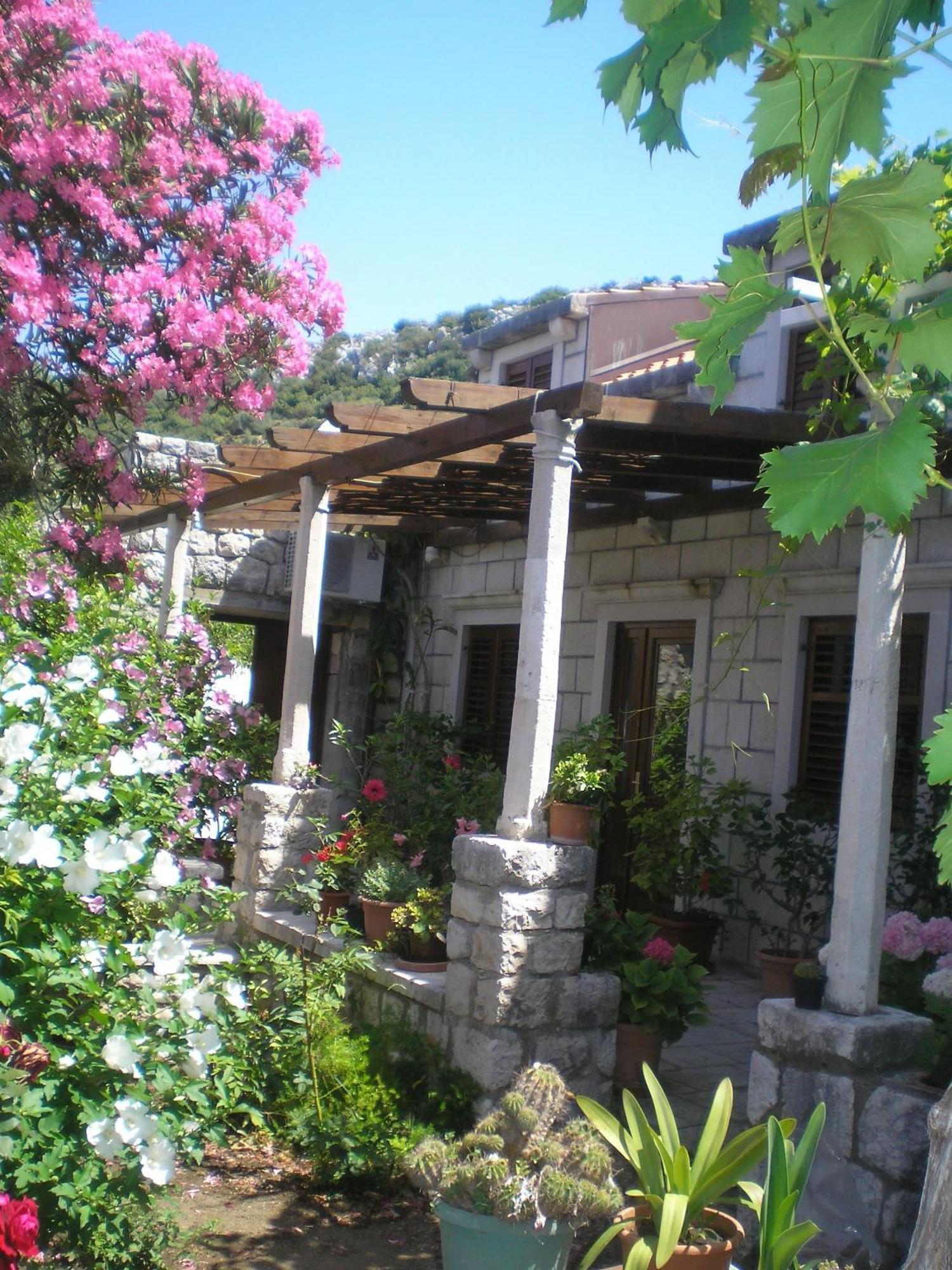 Villa Gverovic Štikovica Cameră foto
