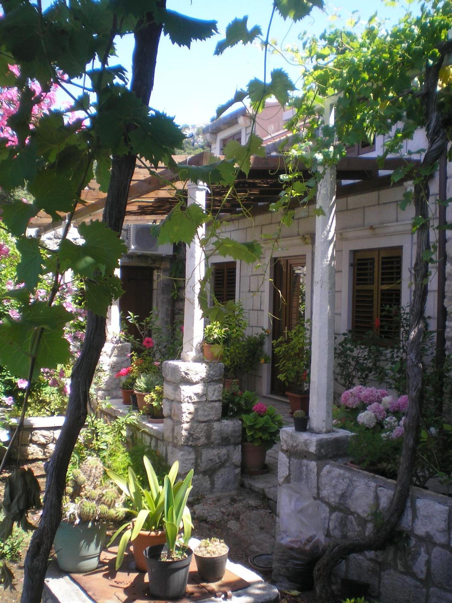 Villa Gverovic Štikovica Cameră foto